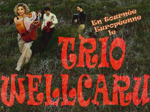 concert-Trio-Wellcaru-1